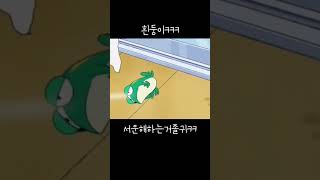 흰둥이 투명이냐고ㅋㅋ