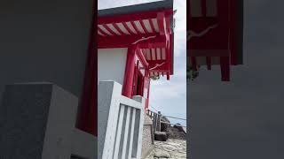 【桂浜】龍王岬【高知県】  #桂浜＃龍王岬#高知県