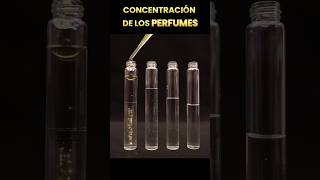 Así se ven LOS PERFUMES según su concentración de esencia! ❤️#Parfum #Perfume #CheddNoir