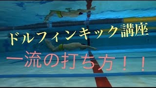 【水泳】あなたもこれでスピードアップ！ドルフィンキック講座