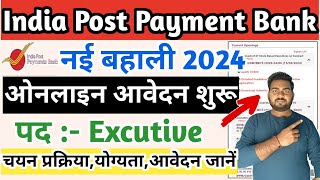 India post payment Bank Executive Vacancy 2024 | IPPB Executive Form 2024 | IPPB Executive vacancy