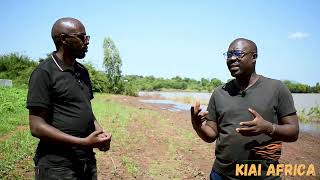 HOW TO FARM CHILLI IN KENYA FOR EXPORT/Chilli Farming/Chilli Cultivation/Hot Papper Farming #farming