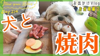 【犬とお出かけ】お台場編②グルメな愛犬家とワンちゃんの楽園！？ワンコと焼き肉が食べられるお店へランチにいったら大満足♪【214日目】