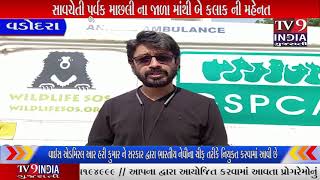 ગઈ કાલે રાતે 8 વાગે અમારી ગુજરાત.એસ.પી.સી.એ.ના માનદ મંત્રી રાજ ભાવસાર ને...|TV9INDIA GUJARATI