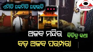 ଭାରତର ଅଜବ ମନ୍ଦିର... ବଡ଼ ଅଜବ ତାର ପରମ୍ପରା...ଦେଖନ୍ତୁ ଏ ବିଚିତ୍ର କଥା...@ABHAYANEWSODISHA