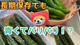 【奥様必見】Ruri's KitcheN 長期保存でも青くてパリパリ！？キュウリの簡単漬け🥒