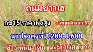 คนมีข้าวเฮ!! ข้าวเปลือกกข.15พุ่ง โรงสีประกาศขึ้นทุกวัน นาปรังคงที่ ข้าวเหนียวเพิ่ม