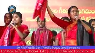 Aggi Pulu | Vimalakka Songs  | Vimalakka Telangana Songs | Janavaninews