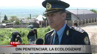 din penitenciar la ecologizare