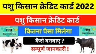 Pashu Kisan Credit Card Complete Information || Eligibility Conditions of Animal KCC