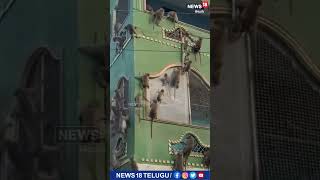 వామ్మో.. ఇంటిని సరౌండ్ చేసిన కోతులు | #Monkeys | #Shorts | News18 Telugu