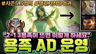 【롤토체스 강의】용족이 빨리 떴을 때 AD캐리로 빌드업하는 방법 (롤토체스 5.5, 초보자강의, 챌린저, 정동글, 용족)