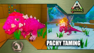 Pixark - Pachy taming