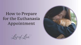 How to Prepare for the Euthanasia Appointment