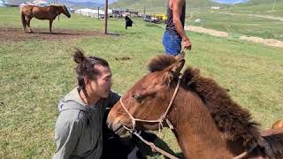 Найзуудыг эргэсэн нь | Mongolian Stuntman