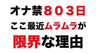 オナ禁８０３日。ここ最近ムラムラが限界な理由｜テストステロン上がりすぎ？