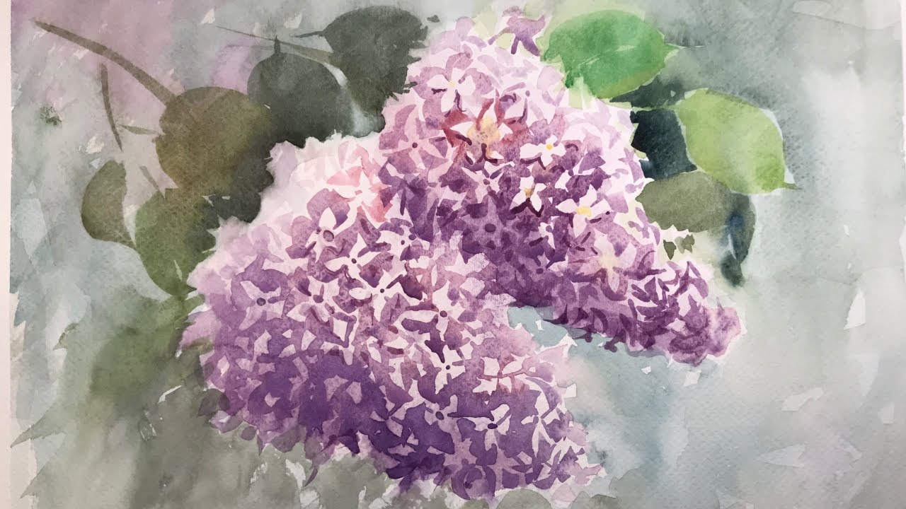 Веточка сирени рисунок акварелью