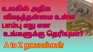 உலகில் அதிக விஷத்தன்மை உள்ள பாம்பு எது என்று உங்களுக்கு தெரியுமா?  முழு தகவல்கள் தமிழில்...