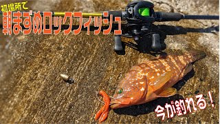 まずめのロックフィッシュは釣れる！根魚釣るなら今？時間を見て釣るキジハタゲーム