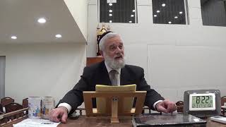 Insights on Parasha Vayigash by Rabbi Eliyahu Kin