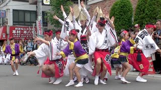 浅草雷連　2017 浅草橋紅白マロニエまつり