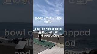 室戸の海鮮丼⭐︎高知の道の駅キラメッセ室戸にある太平洋を臨むレストラン「鯨の郷」