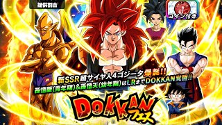 【ドラゴンボールドッカンバトル】DOKKAN フェス 新SSR超サイヤ人４ゴジータ爆誕【DRAGONBALL DOKKAN BATTLE】