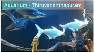 Aquarium | Thiruvananthapuram| അക്വേറിയം| തിരുവനന്തപുരം