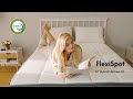 FlexiSpot 13