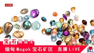 （宝石搬运工）缅甸🇲🇲myanmar，抹谷mogok，红宝石ruby，蓝宝石sapphire，尖晶石spinel，宝石珠宝源头直播，LIVE1/26早