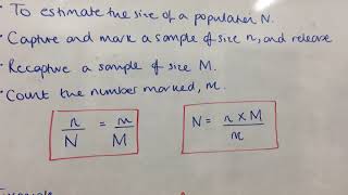Mini Maths Masterclass GCSE : Biological sampling/Capture-recapture