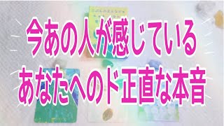 今あの人があなたに感じているど正直な本音💞