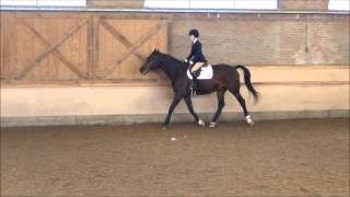 1/5 Ethel Walker School IEA Show Varsity Intermediate || 9/27/2014