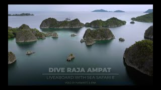 Dive RAJA AMPAT - Liveaboard with Sea Safari 8