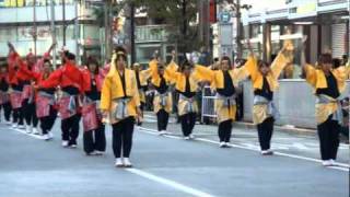 東京よさこい2010 ～ よさこい塾☆よっしゃ