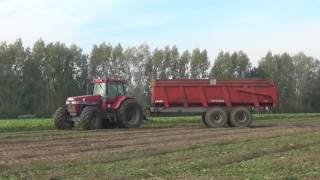 Loonw. Baute - Oostwinkel - bieten rooien - Vervaet