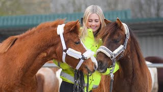 Reiterhof Rohe - Rohezeiten Januar-April 2022 💞