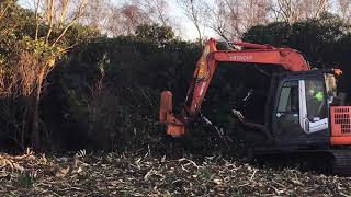 Rhododendron mulching rhododendron clearance throughout the uk