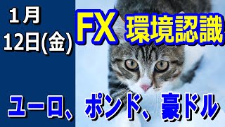 【TAKA FX】ドル、円、ユーロ、ポンド、豪ドルの環境認識解説。1月12日(金)