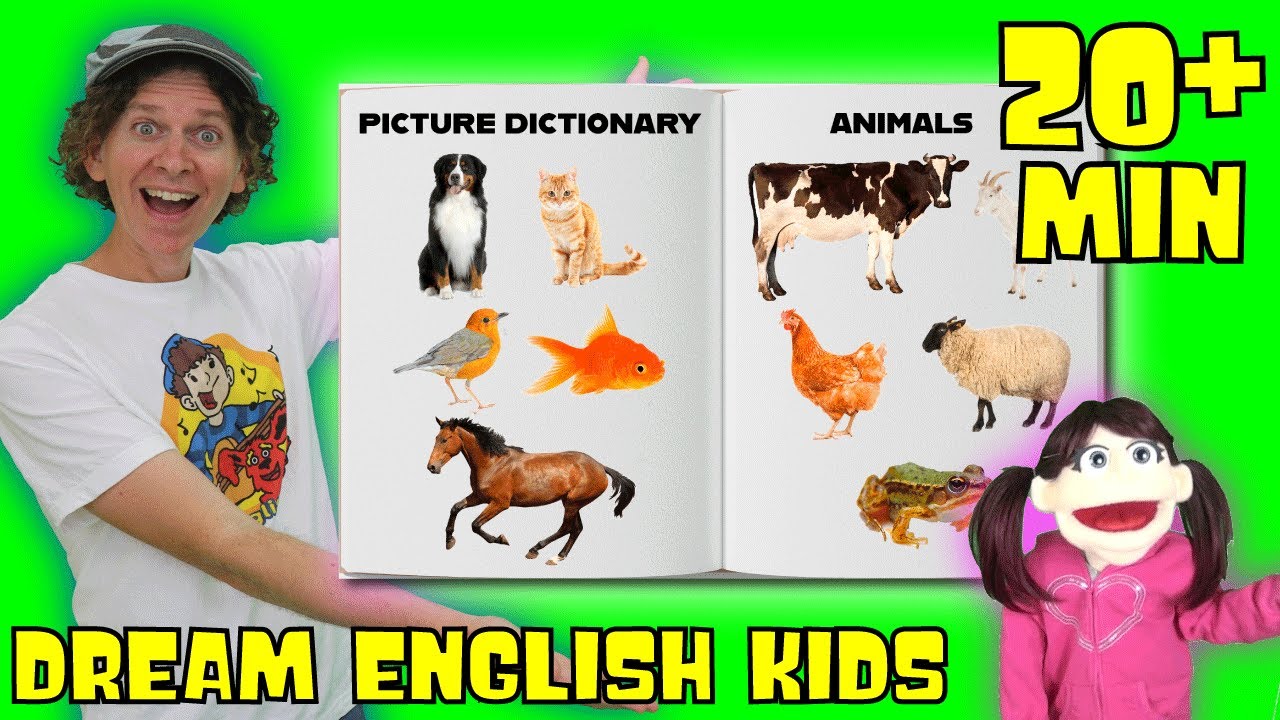 Animals Picture Dictionary And More | Dream English Kids - YouTube