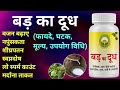 Badh ka doodh ke fayde | Banyan Tree milk Benefits | Ayurvedic Supplement for Many health Problems