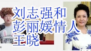 刘志强和金无怠和彭丽媛情人王晓。抓了安徽省长王清宪就可以开四中全会了。刘志强为何去安徽受审，原因是什么？