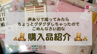 【Daiso】購入品紹介20230122【HAUL】ダイソー