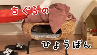 猫ちぐらの評判