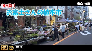 【歩き撮り】2022 お富士さんの植木市@東京  浅草 ４K (21:9)  Tokyo walking video around asakusa