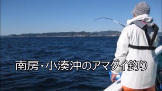 アマダイ釣り 南房小湊沖勝栄丸 鴨川沖 Tilefish fishing