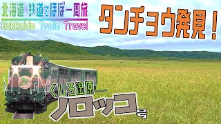 #7 のんびり湿原探訪♪くしろ湿原ノロッコ号に乗車！【北海道 鉄道でほぼ一周旅3日目】