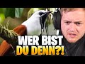 😳😨Trymacs und der ALIEN-VOGEL! - Unusual MEMES REAKTION  | Trymacs Stream Highlights