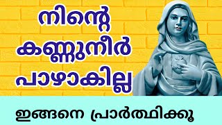 നിന്റെ കണ്ണുനീർ പാഴാവുകയില്ല 🙏#kripasanam  #kreupasanam #കൃപാസനം