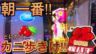 【沖ドキ！ GOLD】低投資で勝つならやっぱり朝イチ!!カニ歩きます！【朝イチ カニ歩き】